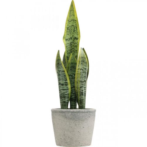 Floristik24 Dirbtinės lankinės kanapės, žalias augalas vazone, Sansevieria H39cm Ø12cm