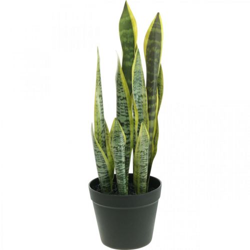 Floristik24 Sansevieria, dirbtinė gėlė, lankas kanapės vazone H50cm Ø14cm