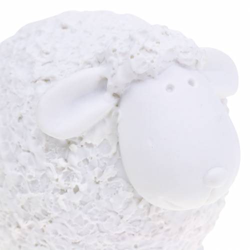 Floristik24 Velykų puošmena avytė balta H7cm 4vnt