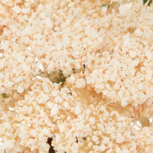 daiktų Dirbtinės kraujažolės kreminės spalvos dirbtinės Achillea gėlės 30cm 6 vnt.