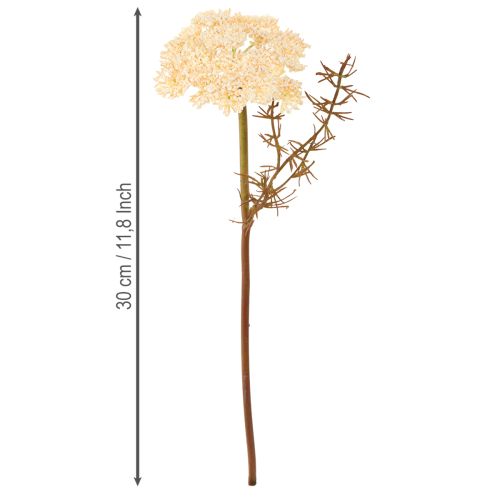 daiktų Dirbtinės kraujažolės kreminės spalvos dirbtinės Achillea gėlės 30cm 6 vnt.