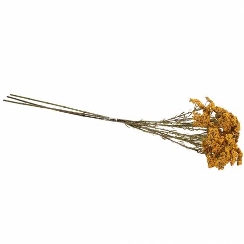 Floristik24 Kraujažolė dirbtinė geltona 74cm 3vnt