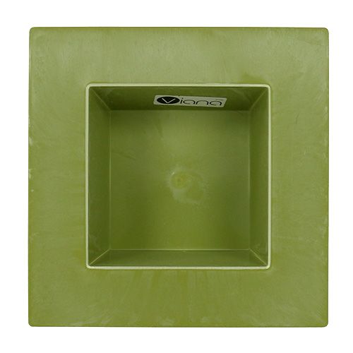 Floristik24 Kvadratinis dubuo šviesiai žalias 20cm x 20cm, 1vnt