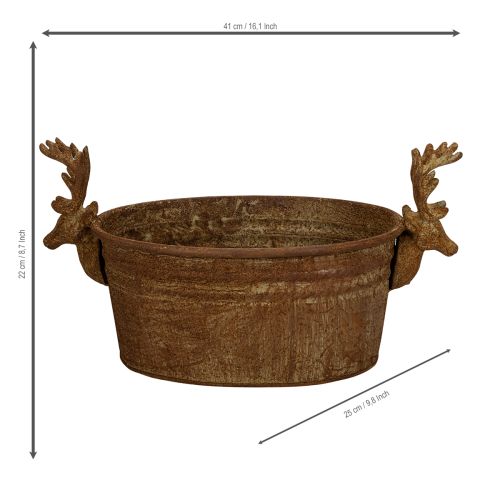 Dekoratyvinis dubuo, elnio galva, ovalus, rūdžių spalvos, kaimiškas, 41 cm | Floristik24.lt