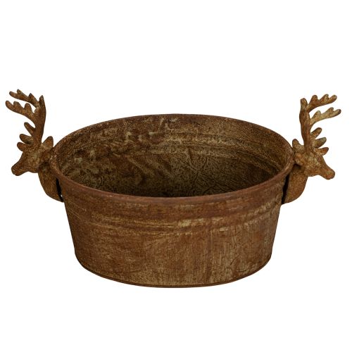 Dekoratyvinis dubuo, elnio galva, ovalus, rūdžių spalvos, kaimiškas, 41 cm | Floristik24.lt