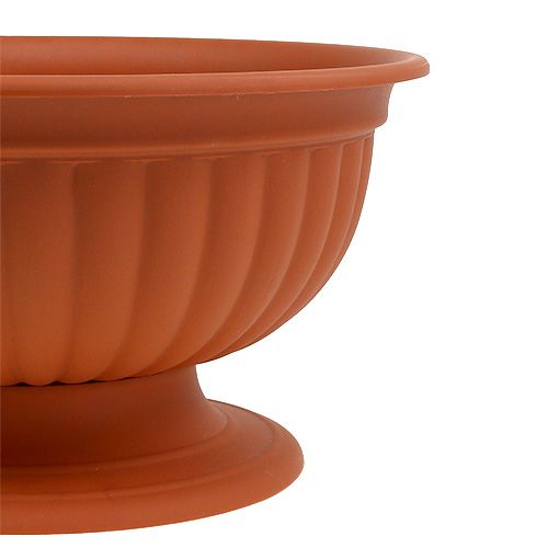 Floristik24 Dubuo su terakotos pėda Ø35cm