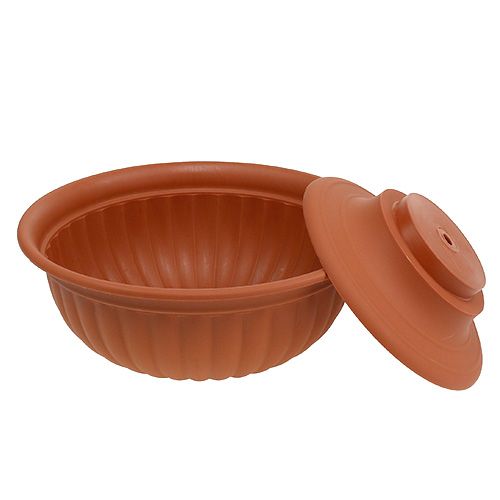 Floristik24 Dubuo su terakotos pėda Ø35cm