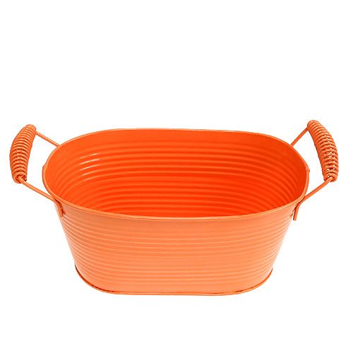 Floristik24 Dubuo ovalus oranžinis 20cm x 12cm H9cm