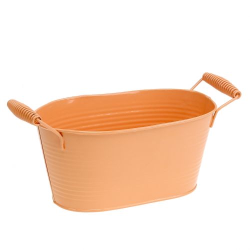 Floristik24 Dubuo ovalus pastelinės oranžinės spalvos 20cm x 12cm H9cm