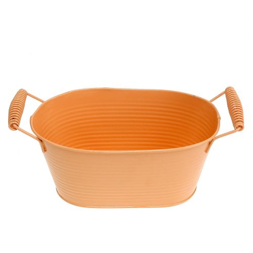 Floristik24 Dubuo ovalus pastelinės oranžinės spalvos 20cm x 12cm H9cm
