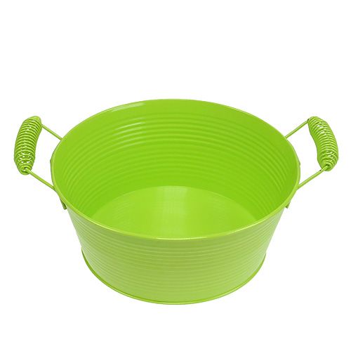 Floristik24 Dubuo apvalus obuolių žalias Ø22cm H9,5cm