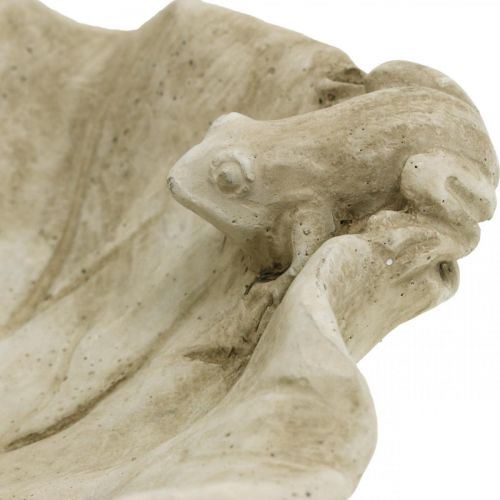 daiktų Vonia paukščiams su varlėmis, betoninė sodo figūrėlė, paukščių vonia lotoso lapas P21cm A7cm