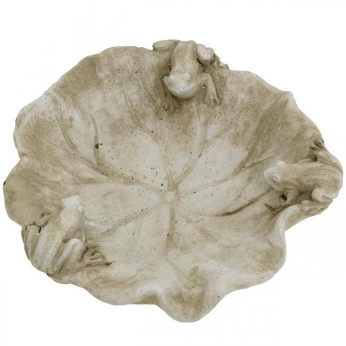 daiktų Vonia paukščiams su varlėmis, betoninė sodo figūrėlė, paukščių vonia lotoso lapas P21cm A7cm