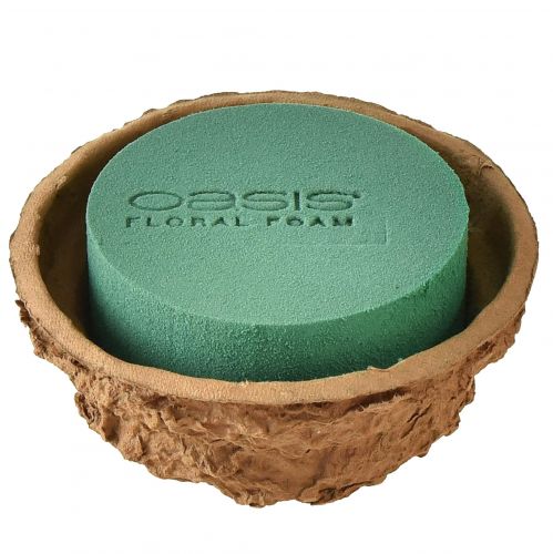 daiktų Dubeninių gėlių kompozicija šlapias gėlių putas H6cm Ø14cm 4 vnt