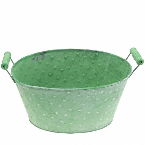 Floristik24 Dekoratyvinis dubuo sodintuvas metalinis žalias ovalus 25,5x18,5cm H13cm