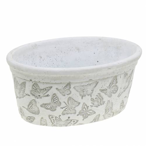 Floristik24 Augalų vazono dubuo baltas su drugeliais 21cm x 14cm A9,5cm 2vnt.