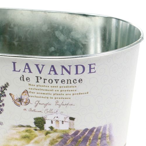 Floristik24 Augalų dubuo levandų ovalus 22,5 cm x 13,5 cm H11 cm