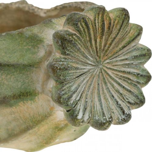 Floristik24 Dekoratyvinė aguonų kapsulė, betoninė vazonėlis, vazonėlis, kapo puošmena L26cm