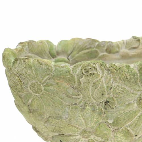 Floristik24 Augalų dubuo ovalus žalias 22×11,5cm H10cm