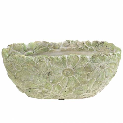 Floristik24 Augalų dubuo ovalus žalias 22×11,5cm H10cm
