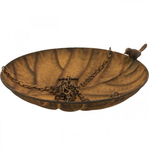 daiktų Dekoratyvinis dubuo kabinti sodo dekoravimui rūdžių išvaizda Ø31cm L62cm