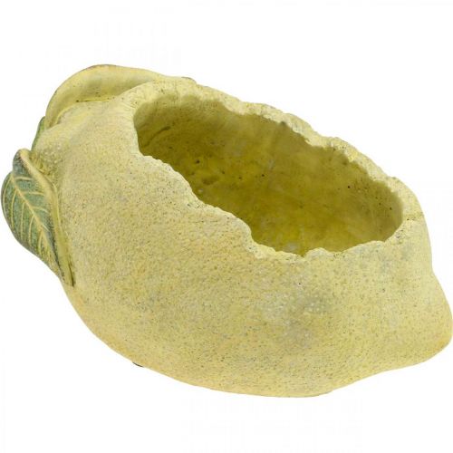 Floristik24 Sodinimo dubuo, citrina sodinimui, Viduržemio jūros betono apdaila L22cm