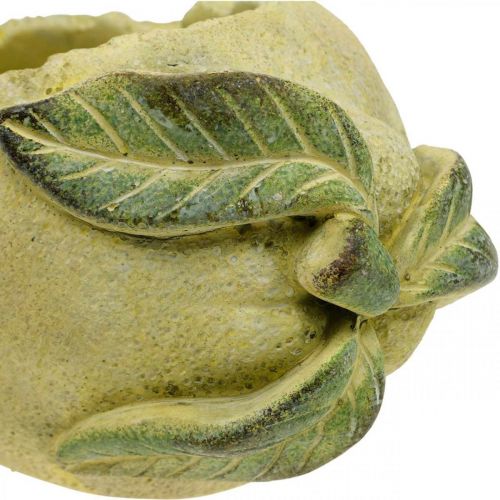 Floristik24 Viduržemio jūros betono dubuo, dekoratyvinė citrina, vazonas, vazonas L18,5cm