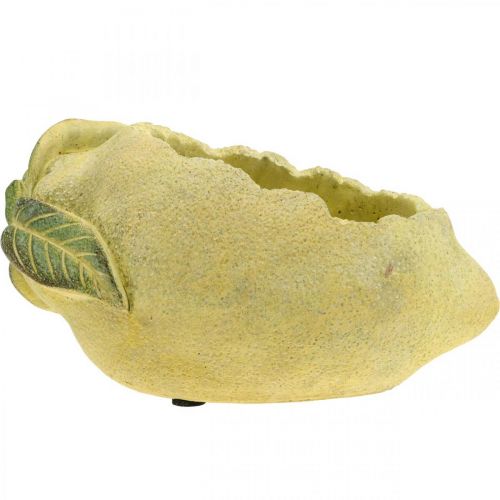 Floristik24 Viduržemio jūros betono dubuo, dekoratyvinė citrina, vazonas, vazonas L18,5cm