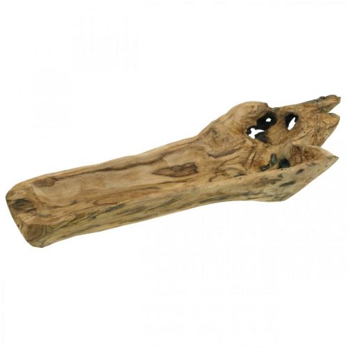 Floristik24 Dekoratyvinis dubuo Paulownia medis, gėlių padėklas, medinis indas L58cm H7-8cm