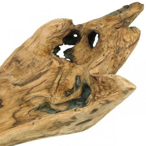 Floristik24 Dekoratyvinis dubuo Paulownia medis, gėlių padėklas, medinis indas L58cm H7-8cm