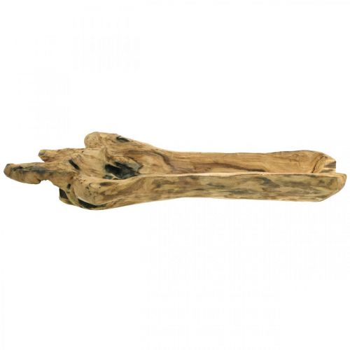 Floristik24 Dekoratyvinis dubuo Paulownia medis, gėlių padėklas, medinis indas L58cm H7-8cm