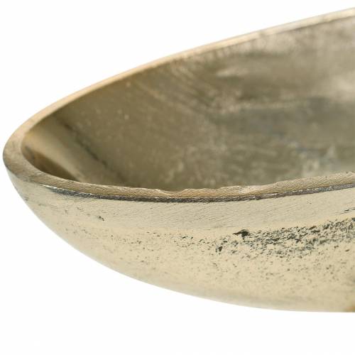 Floristik24 Dubuo ovalus su kojele Golden 20,5×8cm