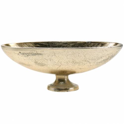 Floristik24 Dubuo ovalus su kojele Golden 20,5×8cm