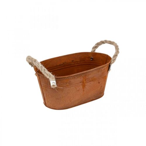 Metalinis dubuo su rankenomis, rudens dekoracija, vazonas su patina L22cm H11cm