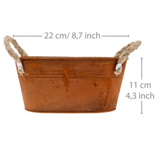 Floristik24 Metalinis dubuo su rankenomis, rudens dekoracija, vazonas su patina L22cm H11cm