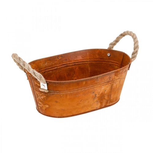 Floristik24 Vazonas augalams su rankenomis, žolelių dubuo, rudens puošmena, patina L28cm H11cm