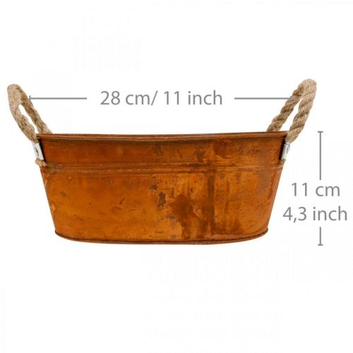 Floristik24 Vazonas augalams su rankenomis, žolelių dubuo, rudens puošmena, patina L28cm H11cm
