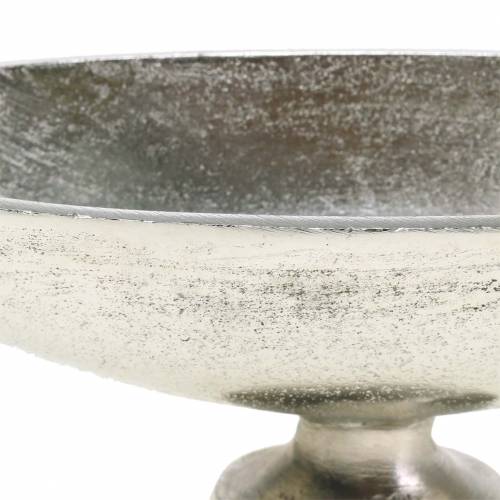 Floristik24 Ovalus dubuo su sidabriniu metaliniu pagrindu 20,5cm H7cm