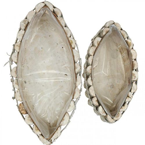Floristik24 Augalų dubuo, medinė augalų dėžutė, jardiniere L37,5/28cm H10/9cm rinkinys iš 2
