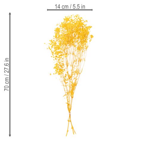 daiktų Džiovintų gėlių puokštė su žydinčia uoga. Dekoratyviai žydinčios šakelės, tinkančios sezoninėms stalo dekoracijoms. 70 cm.