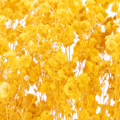 daiktų Džiovintų gėlių puokštė su žydinčia uoga. Dekoratyviai žydinčios šakelės, tinkančios sezoninėms stalo dekoracijoms. 70 cm.