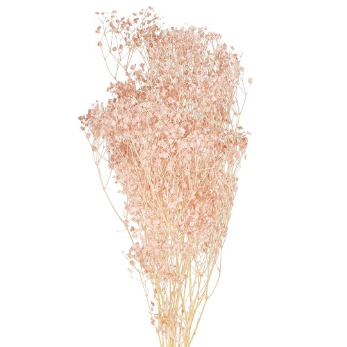 Floristik24 Gypsophila Decoration Oranžinės džiovintos žolės persikas 65-70cm 100g