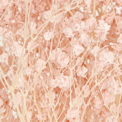 daiktų Gypsophila Decoration Oranžinės džiovintos žolės persikas 65-70cm 100g