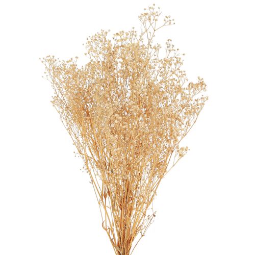 daiktų Gypsophila Pansy Gipso Herb Baltos gėlės 50cm 55g