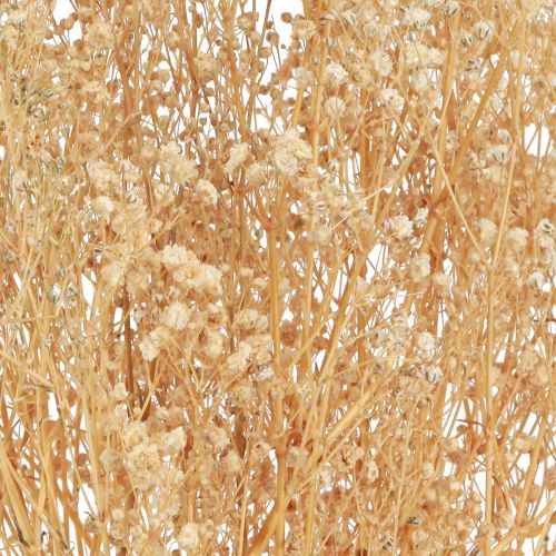 daiktų Gypsophila Pansy Gipso Herb Baltos gėlės 50cm 55g