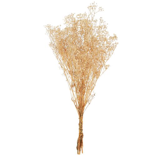 daiktų Gypsophila Pansy Gipso Herb Baltos gėlės 50cm 55g