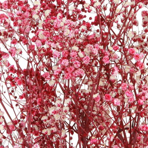 daiktų Gypsophila paniculate gipso žolė uogose L50cm 55g