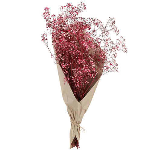 daiktų Gypsophila paniculate gipso žolė uogose L50cm 55g