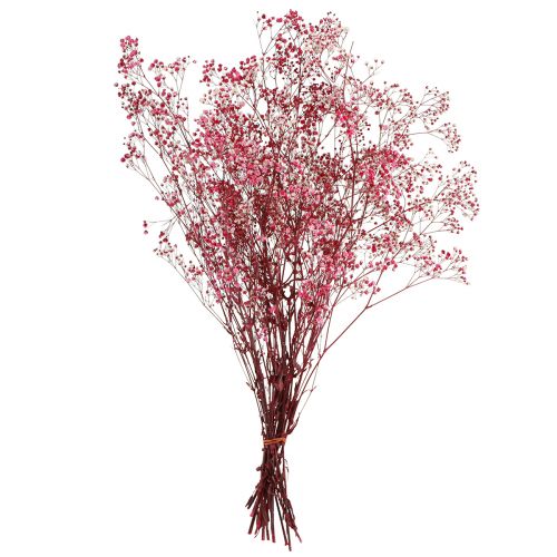 daiktų Gypsophila paniculate gipso žolė uogose L50cm 55g