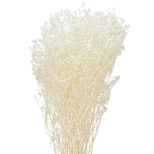 daiktų Gypsophila baltos džiovintos žolės dekoravimo kremas 65-70cm 100g